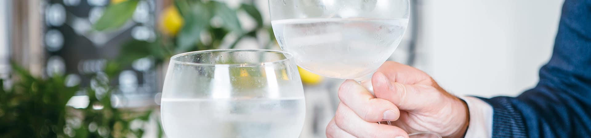 Gin Tasting online