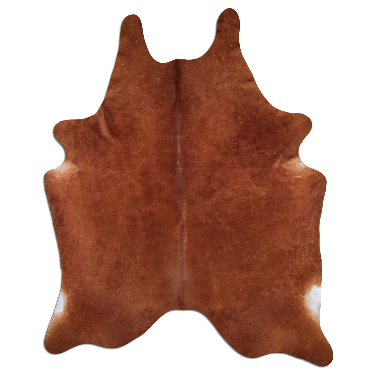 Livorio Kuhfell - brown